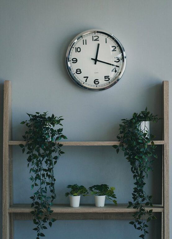 How to Refresh Your Home with Plants: Simple Tips for a Greener Space